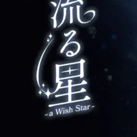 流星 -a Wish Star-